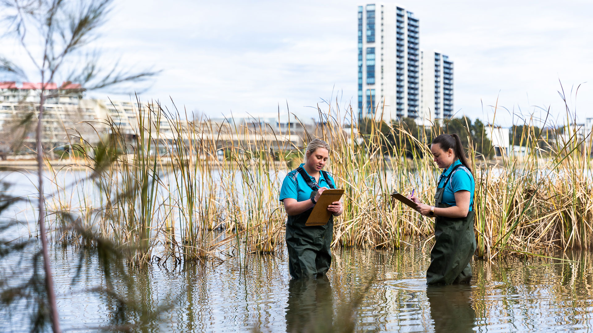 Two people monitoring water quality